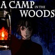 A Camp in the woods ( DESURA key region free )