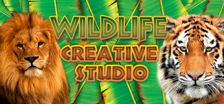 Wildlife Creative Studio ( steam key region free )