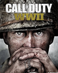 Call of Duty: WWII  ( steam key RU )