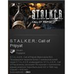 STALKER: Call of Pripyat (Steam Gift / Region Free)