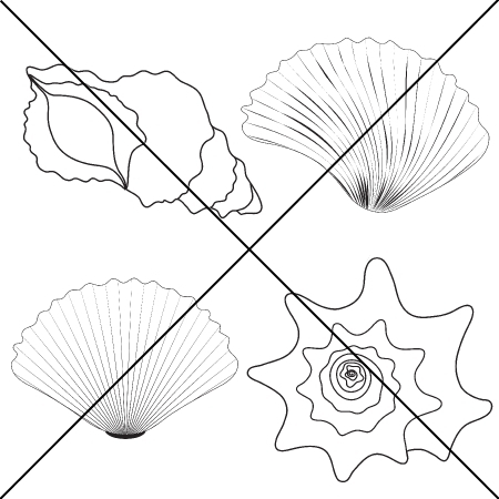 Four sea cockleshells (Четыре морских рокушки).