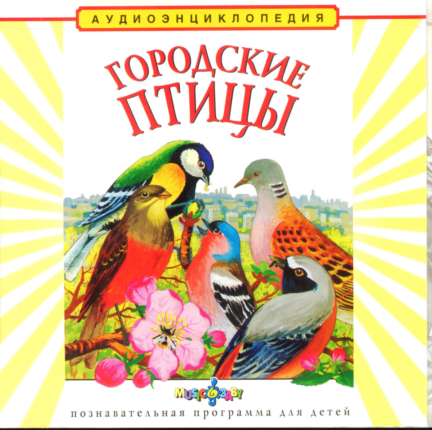 Городские птицы.