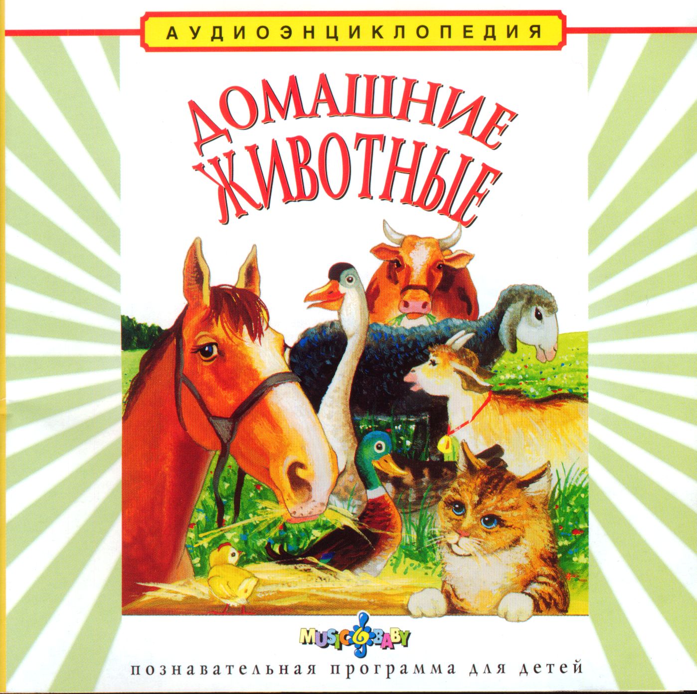 Домашние животные.
