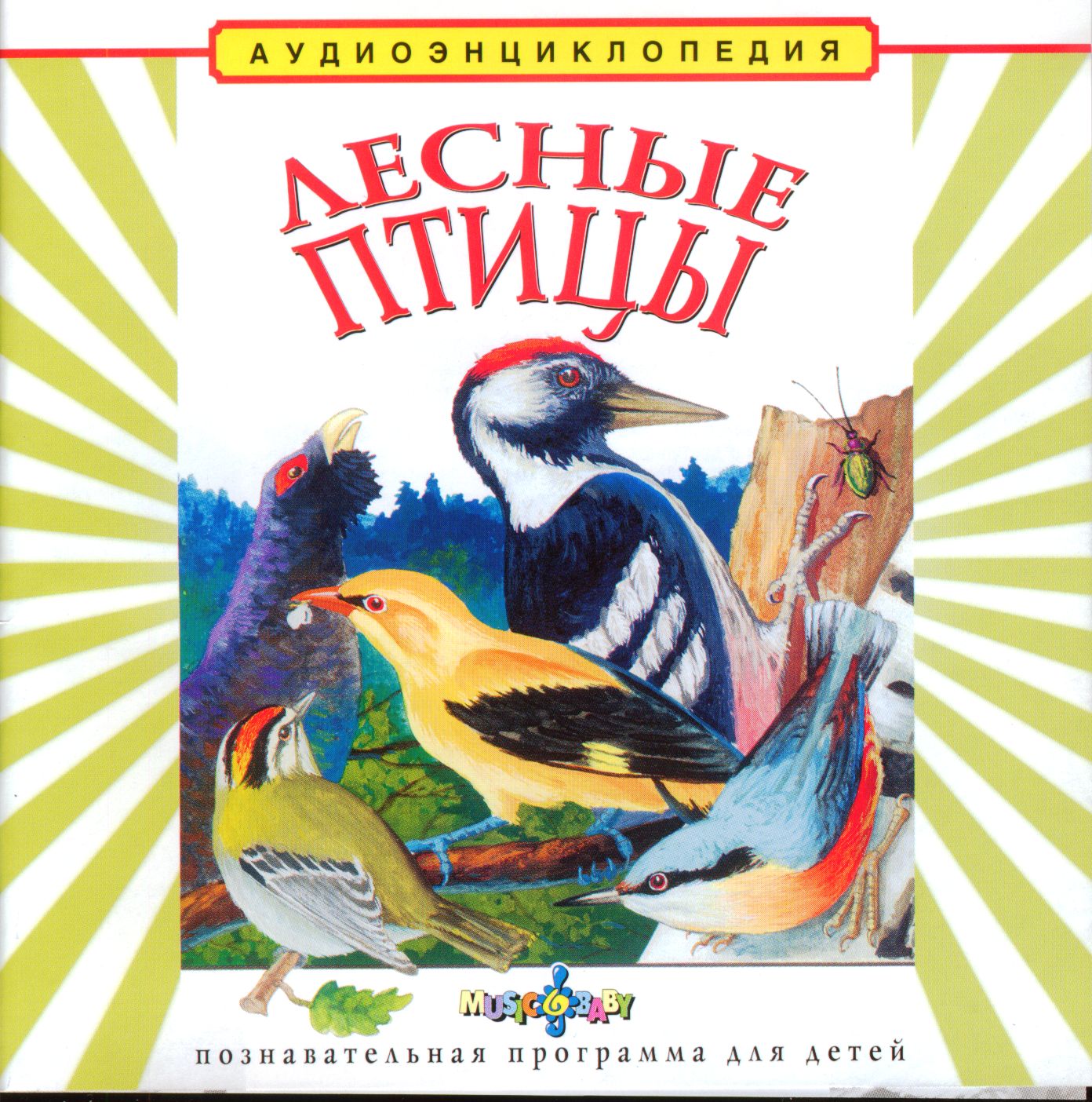 Лесные птицы.