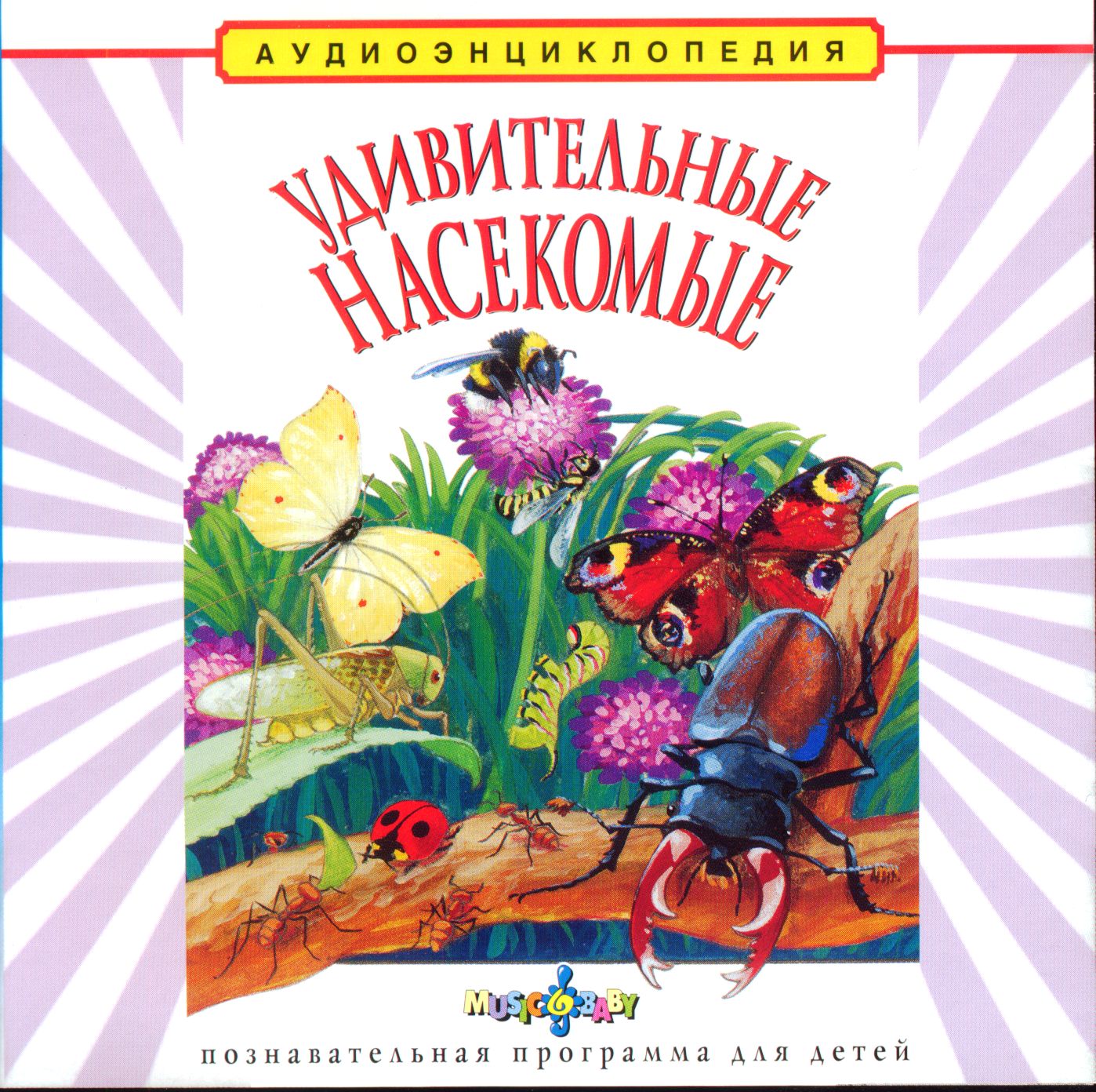 Удивительные насекомые.