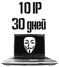 10 IP на 30 дней