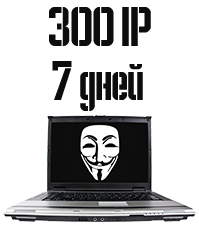 300 IP на 7 дней
