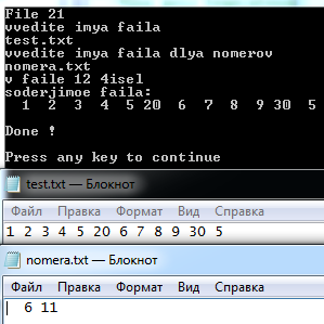 File 21