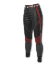p1_2498662_893f8b5f.png