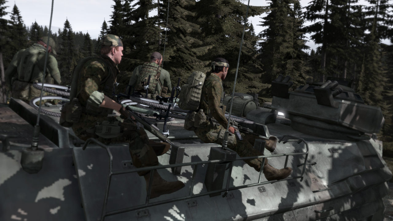 Arma 2: Combined Operations (Steam Gift RU)