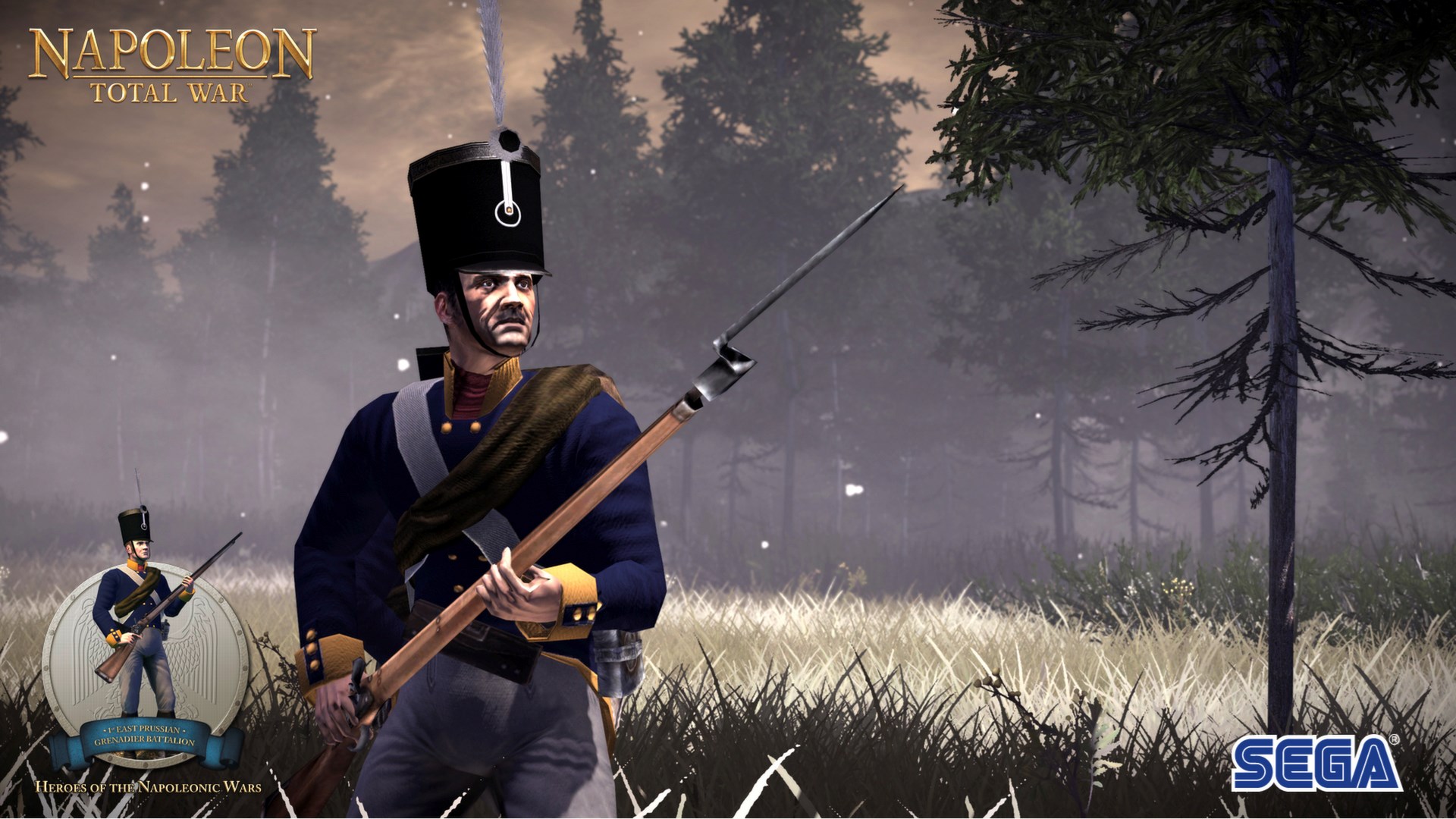 Napoleon total war карта