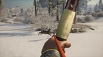 theHunter: Call of the Wild - Weapon Pack 1 Steam Gift