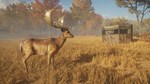 theHunter: Call of the Wild - Tents & Ground Blinds RU