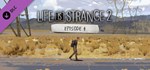 Life is Strange 2 - Episode 4 (Steam Gift Россия) *