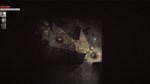 Darkwood (Steam Gift Россия) *