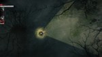 Darkwood (Steam Gift Россия) *