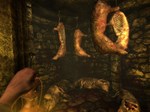 Amnesia: The Dark Descent (Steam Gift Россия) *