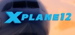 X-Plane 12 (Steam Gift Россия) *
