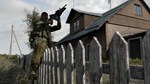 Arma 2: Complete Collection (Steam Gift Россия)