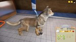 Animal Shelter (Steam Gift Россия) *