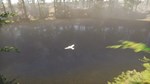 Bird (Steam Gift Россия) *