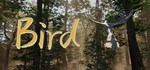 Bird (Steam Gift Россия) *