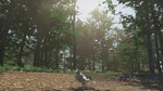 Bird (Steam Gift Россия) *