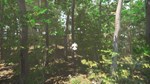 Bird (Steam Gift Россия) *