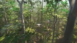 Bird (Steam Gift Россия) *