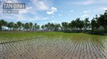 Early Access to Operation: Rolling Stone Steam Gift RU