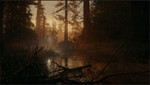 * Alan Wake 2 Deluxe Edition XBOX SERIES X|S Ключ *