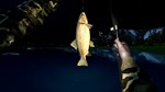 Ultimate Fishing Simulator (Steam Gift Россия) *