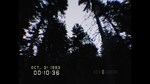 DON´T SCREAM (Steam Gift Россия)