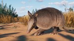 Planet Zoo: Grasslands Animal Pack (Steam Gift Россия)