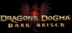 Dragon´s Dogma: Dark Arisen (Steam Gift Россия)
