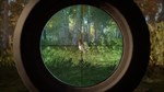theHunter: Call of the Wild - Revontuli Coast Steam RU