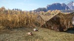 theHunter: Call of the Wild - Duck and Cover Pack Steam