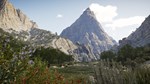Call of the Wild: The Angler - Spain Reserve Steam RU