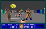 Wolfenstein 3D (Steam Gift Россия)