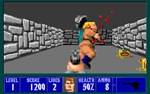 Wolfenstein 3D (Steam Gift Россия)