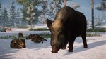 Planet Zoo: Eurasia Animal Pack (Steam Gift Россия)