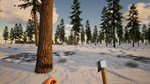 Far Lands (Steam Gift Россия)