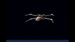 STAR WARS™: X-Wing (Steam Gift Россия)