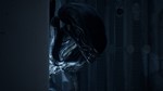 ** Dead by Daylight Набор главы *Чужой* XBOX Ключ *