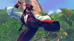 USFIV: Complete Shadoloo Pack (2011) Steam Gift Россия