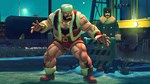 USFIV: Complete Brawler Pack (2011) (Steam Gift Россия)