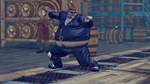 USFIV: Complete Brawler Pack (2011) (Steam Gift Россия)