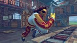 USFIV: Shadaloo Wild Pack (Steam Gift Россия)