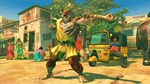 USFIV: Shadaloo Wild Pack (Steam Gift Россия)