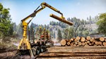 * SnowRunner - Mack Dual Pack Windows PC Ключ *